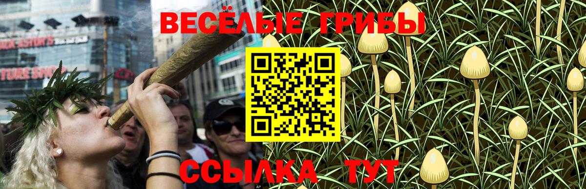 Псилоцибиновые грибы Psilocybe  Псилоцибиновые грибы Psilocybe  Москва  купить наркоту  Вход с VPN 