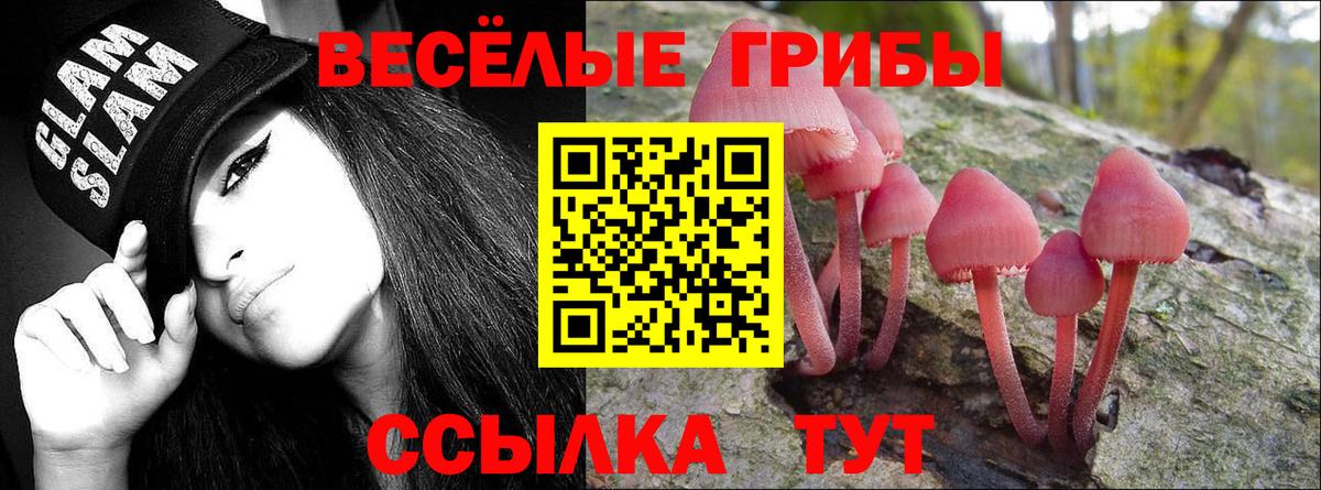 Галлюциногенные грибы мицелий Москва